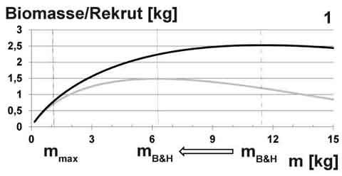 Biomasse pro Rekrut als Funktion der Einzelfischmasse.